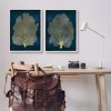 Stupell Industries Modern Aquatic Sea Fan Composition, 24" x 30" - 2 of 4