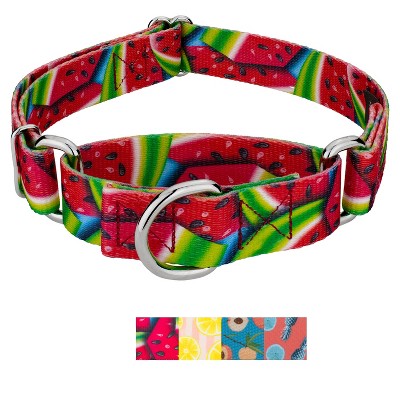Country Brook Petz Martingale Hundehalsband – Sicheres Training Ohne Schnalle