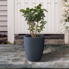 Rosemead Home & Garden Concrete Outdoor Planter Pot Black 13.78"x13.78"x18.11" - 4 of 4