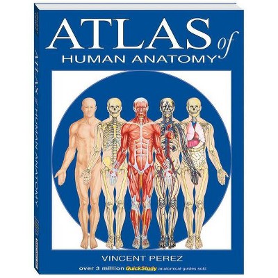 Atlas of Human Anatomy - (Quickstudy Books) by  Vincent Perez (Paperback)