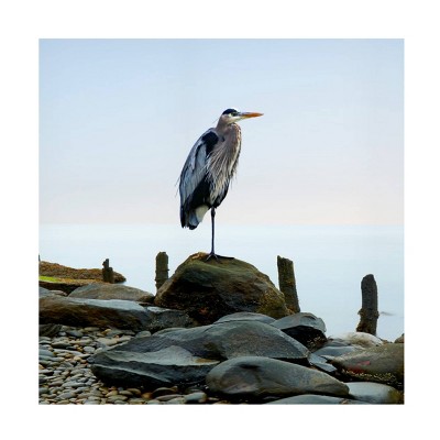 24" x 24" James McLoughlin 'Beachscape Heron I' Unframed Wall Canvas - Trademark Fine Art