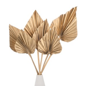 Unique Bargains Dried Natural Boho Palm Leaf Bulk - 1 of 4