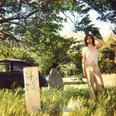 Ariel Pink - The Doldrums (2 LP) (Remastered) (Vinyl)