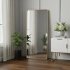 HomeRoots Gold Aluminum Leaning Framed Full Length Mirror - 2 of 4