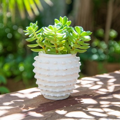 Stone Ceramic Planter with Raised Textured Surface and Rounded Edge Design - Contemporary Decorative Accent Pot with Sculpted Detail