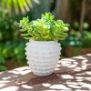 Stone Ceramic Planter with Raised Textured Surface and Rounded Edge Design - Contemporary Decorative Accent Pot with Sculpted Detail - 2 of 4