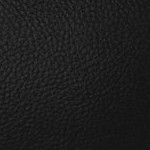 tampa bay buccaneers