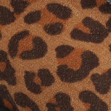 leopard/camel