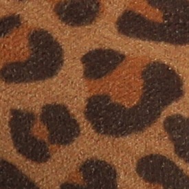 leopard/camel