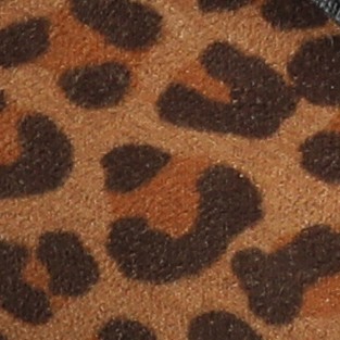 leopard/camel