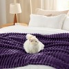 Bedsure | Indulge in Comfort Bed Blanket with Unique Chunky Corduroy Texture - 4 of 4