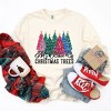 Simply Sage Market Women's My Kind Of Christmas Trees Long Sleeve Garment Dyed Tee - 3 of 4