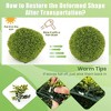 Resenkos 2-Pack 20-Inch Artificial Topiary Ball Set, UV Protected for Outdoor Use, Green - 2 of 4