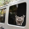 TruAIR Funny Rocking Raccoon Car Sticker - 2 of 4