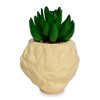 Silver Buffalo The Golden Girls Rose 3.25-Inch Ceramic Mini Planter With Artificial Succulent - image 3 of 4