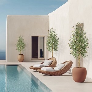 5/6/7ft Artificial Olive Tree - White Pot with Natural Wood Trunk & Fruits, Lifelike Faux Tree for Indoor Home Decor - 1 of 4