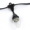 Novelty Lights Globe Outdoor String Lights with 25 suspended Sockets Suspended Black Wire 25 Feet - image 4 of 4