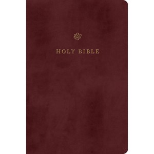 ESV Gift and Award Bible (Trutone, Burgundy) - (Leather Bound) - 1 of 1