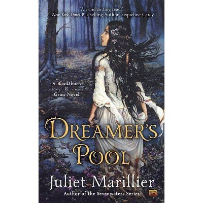 Dreamer's Pool - (Blackthorn & Grim) by  Juliet Marillier (Paperback)