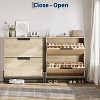 2-Drawer Shoe Storage Cabinet - Freestanding Organizer with Adjustable Shelf & Metal Legs for Entryway, Hallway - 3 of 4