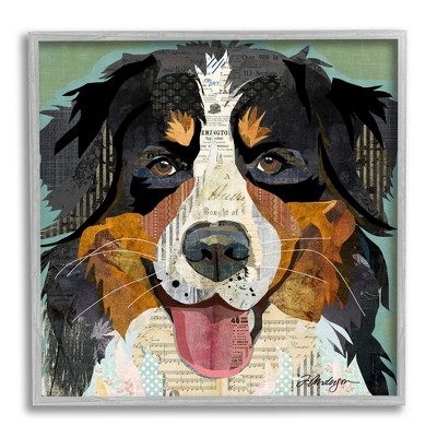 Stupell Industries Bernese Mountain Dog Portrait Framed Giclee Art