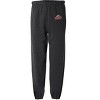 Caldwell University School Logo Jogger Sweatpants - 2 of 4