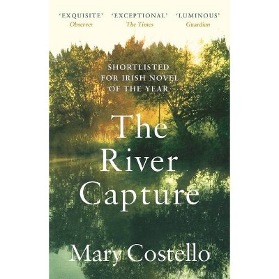 The River Capture - by  Mary Costello (Paperback)