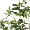 Artificial Tree - Faux 60" Potted Pieris Japonica Plant - FXP2013 - Green - Safavieh - 3 of 4