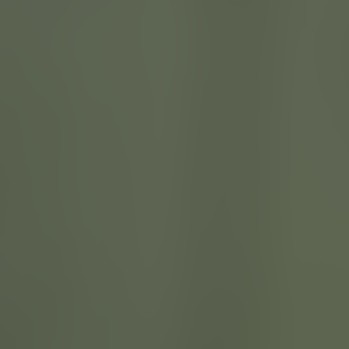 green-dustyolive