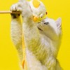 ZEZE Chick Cat Teaser Wand - 3 of 4