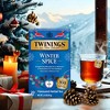 Twinings Winter Spice Tea - 20ct - 4 of 4