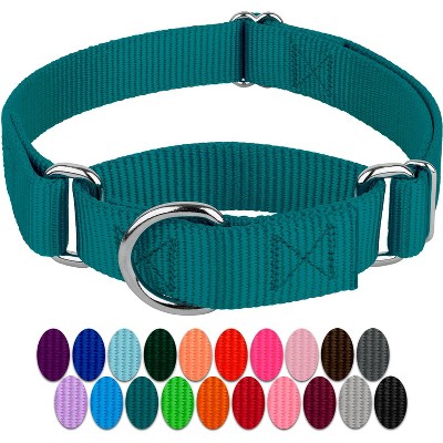 Country Brook Petz Martingale Heavyduty Training Collar with No Buckle - Service Collar for All Dogs - Vibrant, Colorful Collection