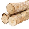 Northlight 38.5" Birch Wood Branch Bundle Christmas Display - 2 of 4