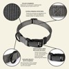 Country Brook Petz Everyday Nylon Dog Collar - 3 of 4