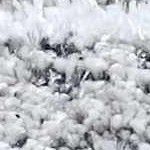 medium gray, black, light gray