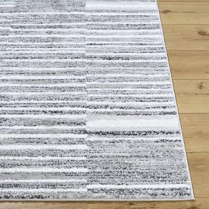 Hauteloom Bashar Living Room, Bedroom Area Rug - Contemporary - High Pile - 1 of 3