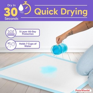 PetsWorld Economy Value (28x34 inch) Puppy Training & Potty Pads 200 Count - 1 of 4
