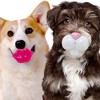 FOUFIT Paci-Chew Chew Toy for Dogs - Bunny - 3 of 3