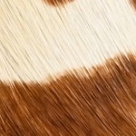 animal/brown