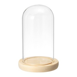 Unique Bargains Wooden Base Plants Home Decor Glass Bell Jar Display Case - 1 of 4