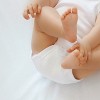 Honest Baby 10-Pack Organic Cotton Short Sleeve Bodysuits - 4 of 4