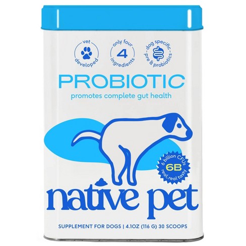 5 Reasons Why Probiotic Chews for Dogs Are a Game-Changer for Gut