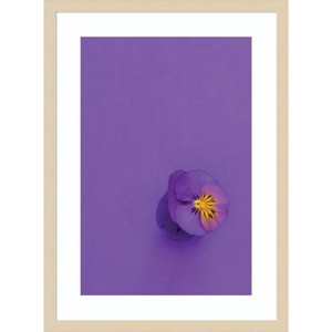 Amanti Art Lavender Pansy by Incado Wood Framed Wall Art Print - 1 of 4