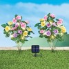 Collections Etc Adjustable Pastel Rose Stakes - Set of 2 NO SIZE - 2 of 3