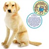 Leanna The Labrador - 31 Inch Stuffed Animal Plush - By Viahart - 3 of 4