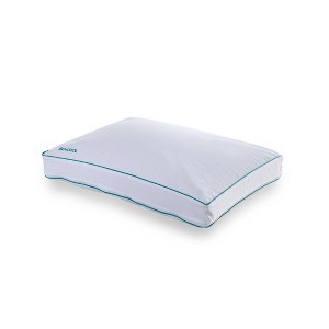 Carpenter Medium/Firm IsoCool Serene Foam Side Sleeper - 1 of 4