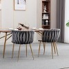 Sapphtopaz Modern Set of 2 Dining Chairs Velvet Upholstered Bar Chair with Metal Legs Kitchen Chair with low Back Chairs for Kitchen, Bedroom - 2 of 4