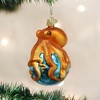 Old World Christmas Glass Blown Christmas Ornament For Christmas Tree, Octopus - 2 of 2