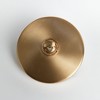Plum & Post Capra Ceiling Pendant Small Lamp - 4 of 4