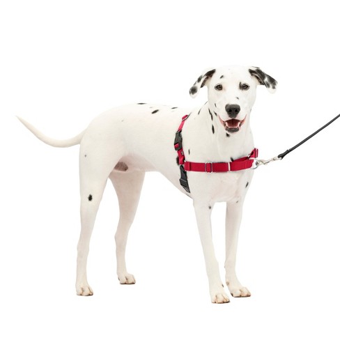 Target best sale dog leads